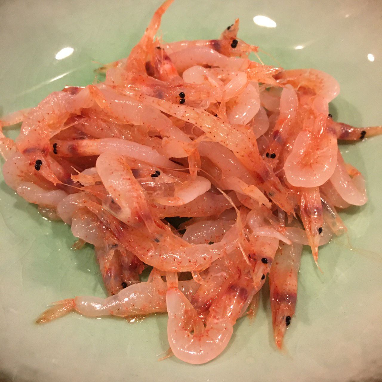 ★味よし「本日限定！桜エビ(^O^)／」