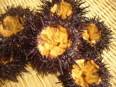 ☆味よし「築地直送のウニはいかが?」