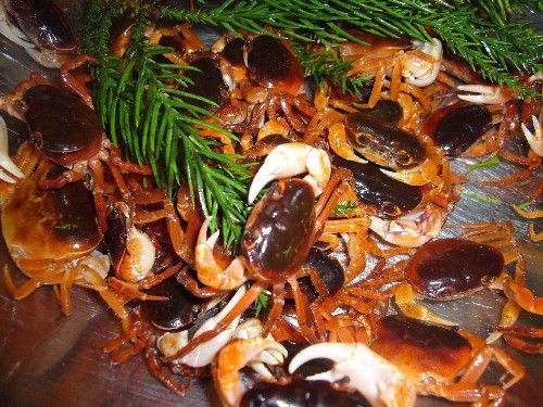 ☆味よし「築地直送の海の幸をどうぞ!!」