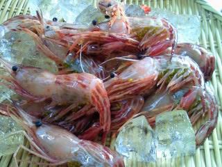 ★味よし「プリプリのしま海老です」