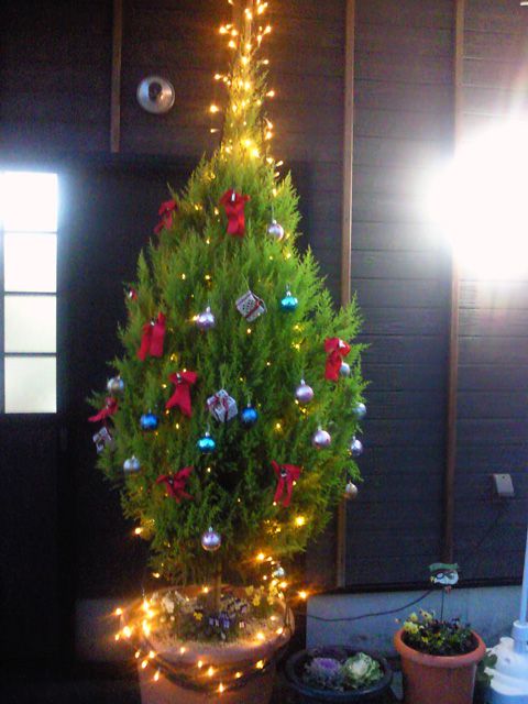 ★味よし「やっぱり☆飾っちゃいました(^^♪」