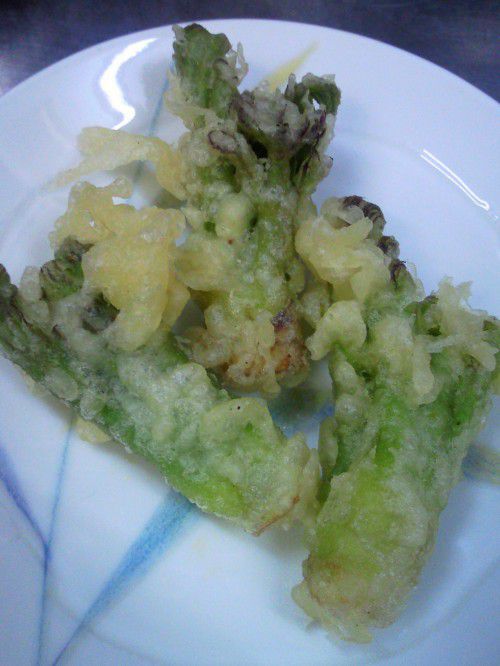 ★味よし「春の香り・・・たらの芽です!!」