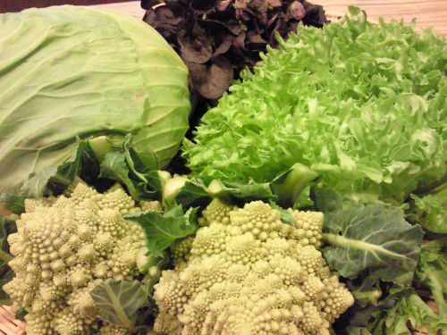 ★味よし「新しい出会いでした!!」