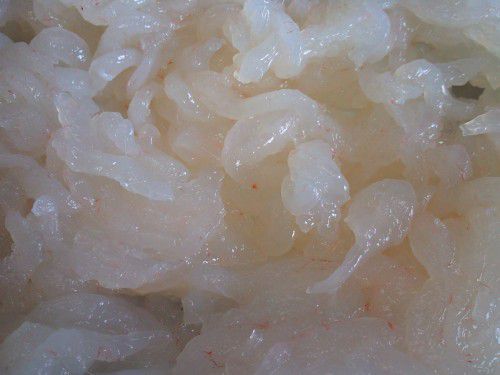 ★味よし「春の旬!甘~い、白海老(しろえび)いかがですか??」