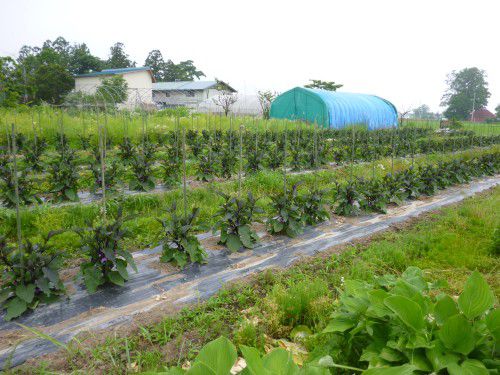 ★味よし「きみこサン、ありがとうです!!」