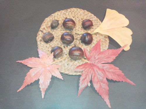 ★味よし「秋を探して・・・あきとの秋!!」