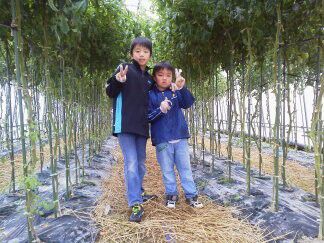 ★味よし「今年ラストのトマトでした!」