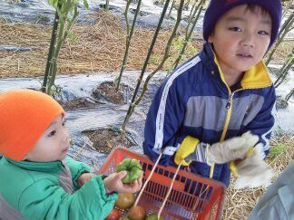 ★味よし「続・今年ラストのトマトでした!!」