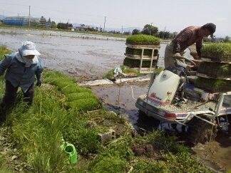 ★味よし「きみこさんとよしかずさんに逢いに行きました♪」