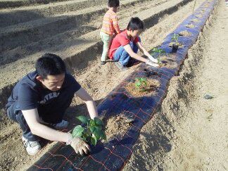 ★味よし「夏野菜!楽しみにしています♪」