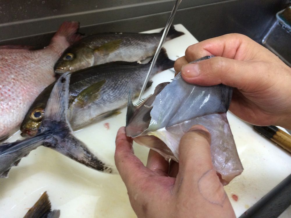 ★味よし「ビリビリ・・・と、音がします・・・!!」