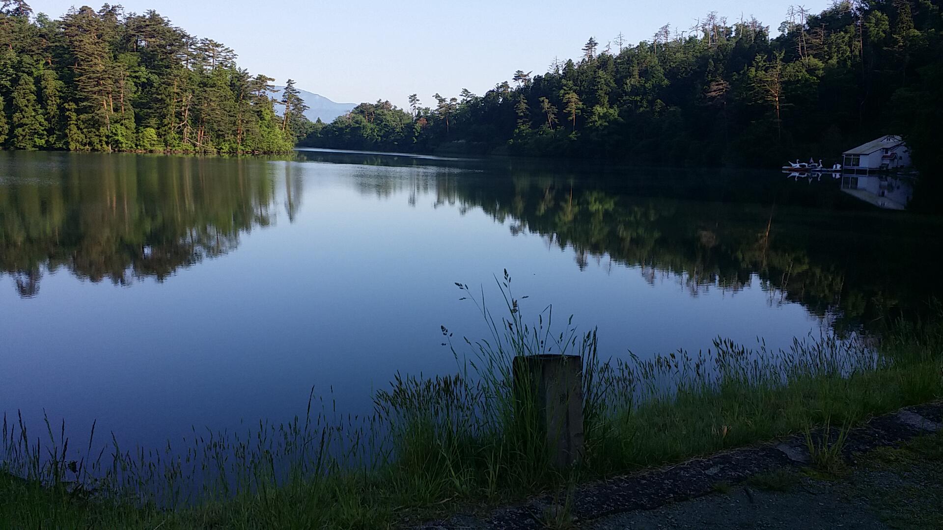 バラ祭り本日より始まります！