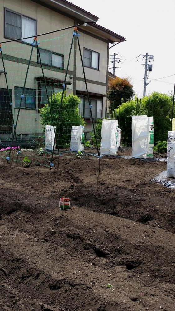 肉料理あんどう　家庭菜園　準備完了