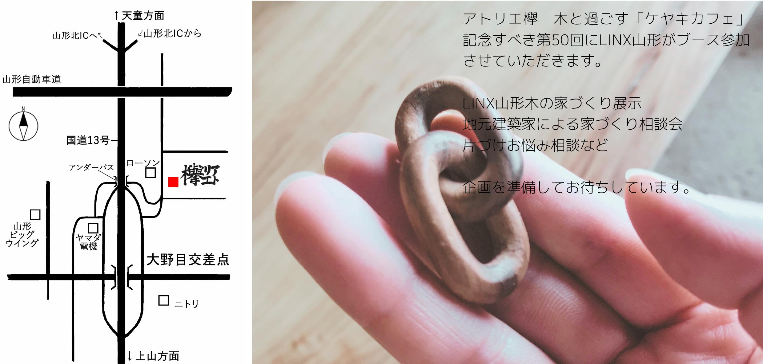 「ケヤキカフェ」で地元建築家とカフェタイム！