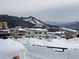 おくー に 白馬の騎士！