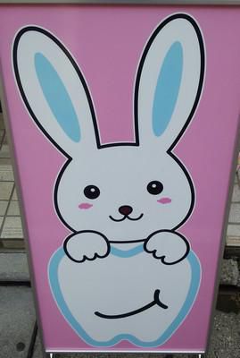 ピカピカな歯に