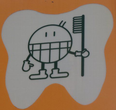 しっかり磨いてきれいな歯