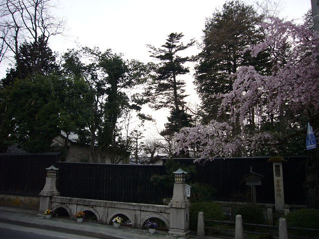 **さくらフランク＆フランクｍｉｎｉ**