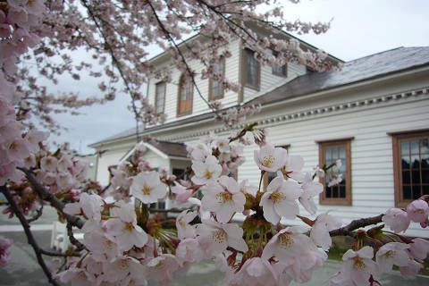 【長井NPOセンター】年末年始休暇のお知らせ