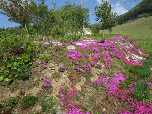 5月13日「高い山の日」