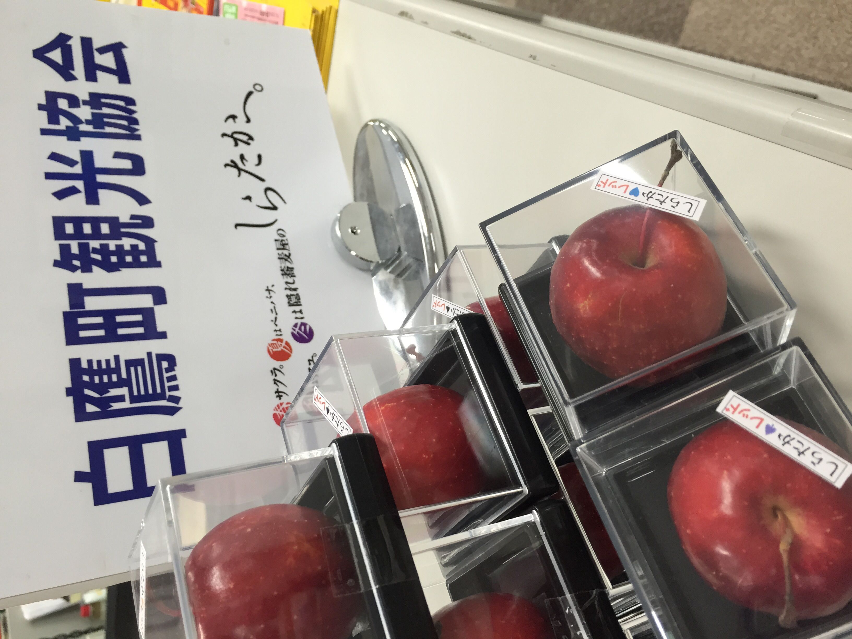 しらたかレッド  de  Xmas