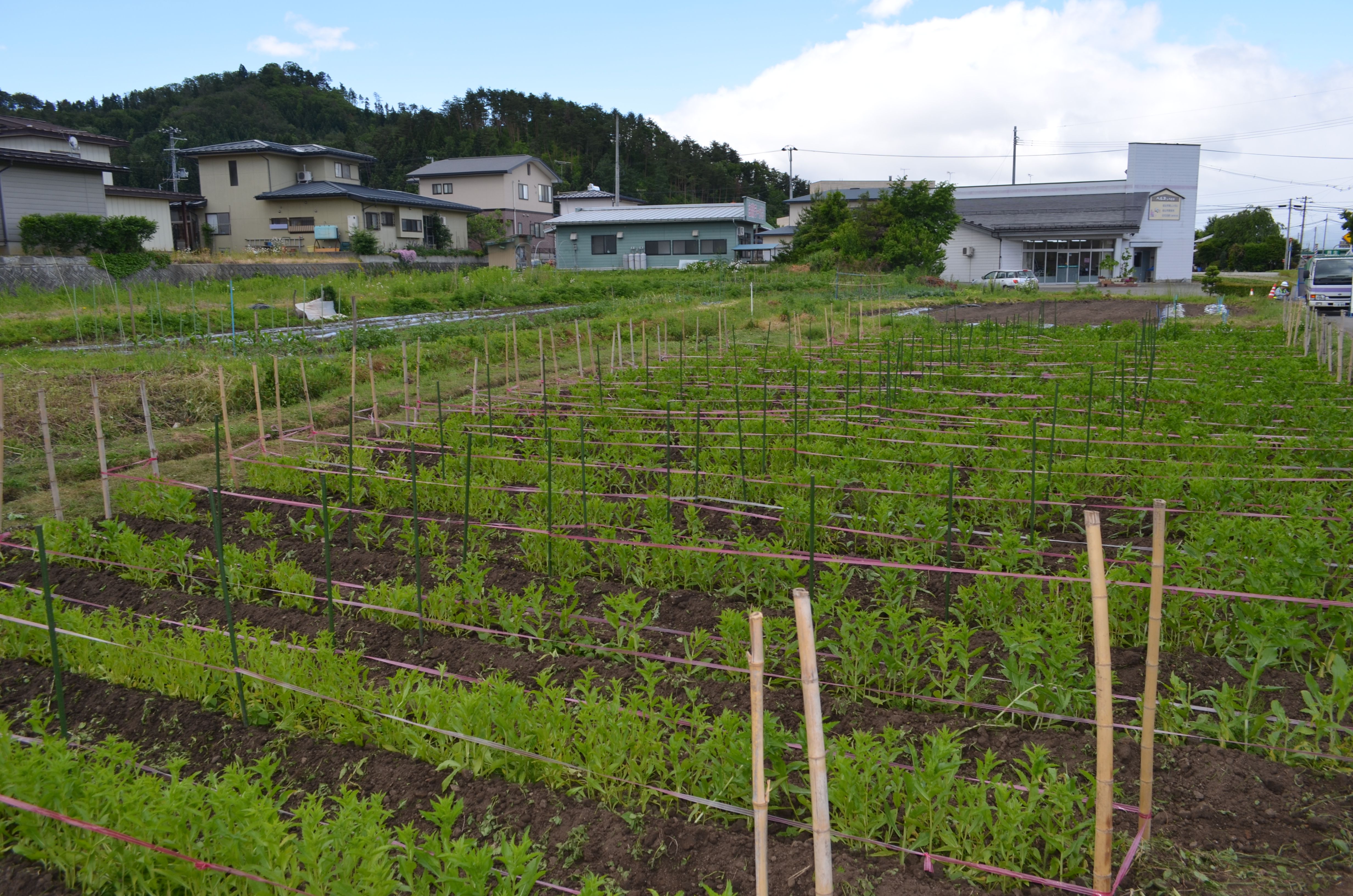 ～2016.6.2 本日の白鷹町～