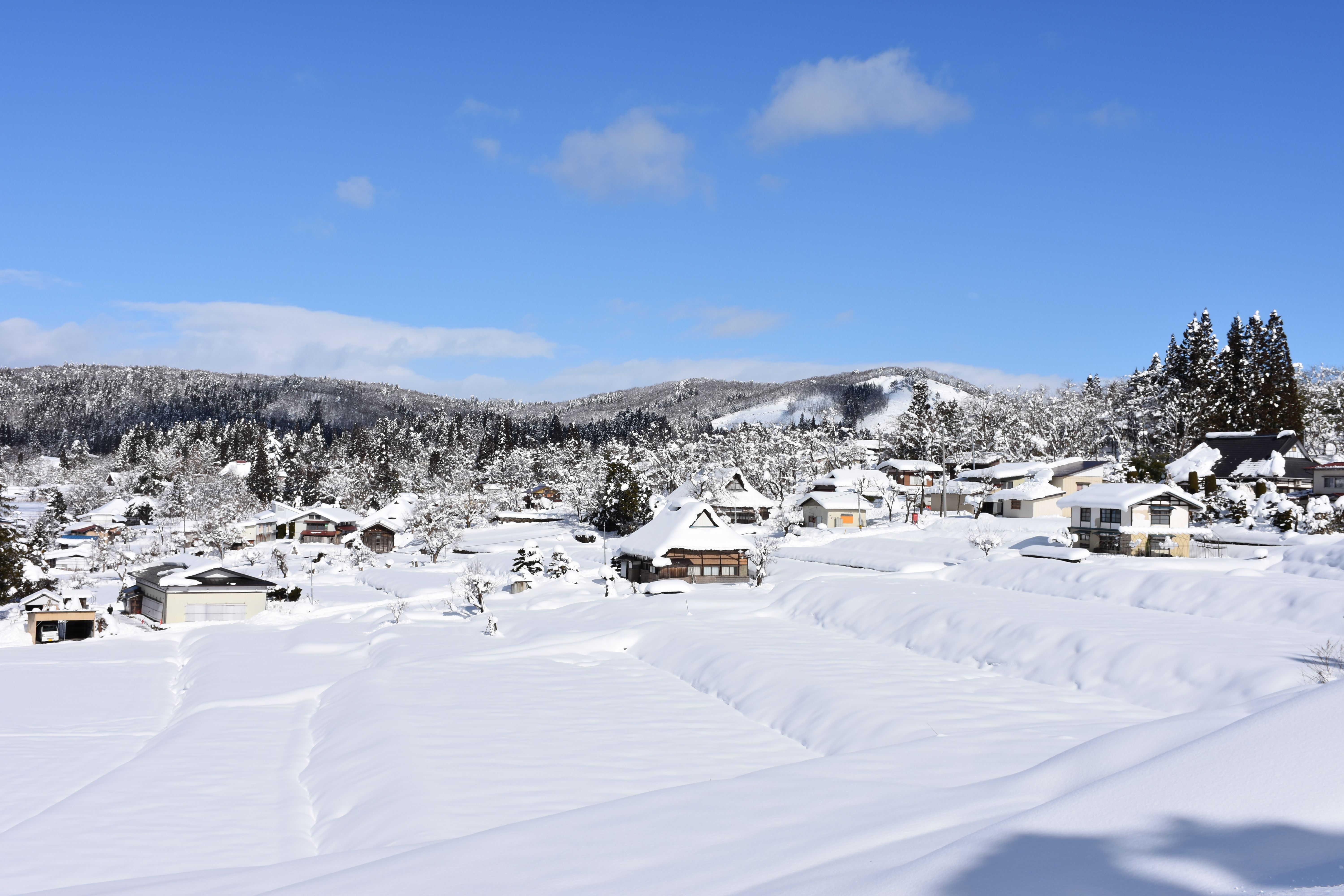 中山の棚田