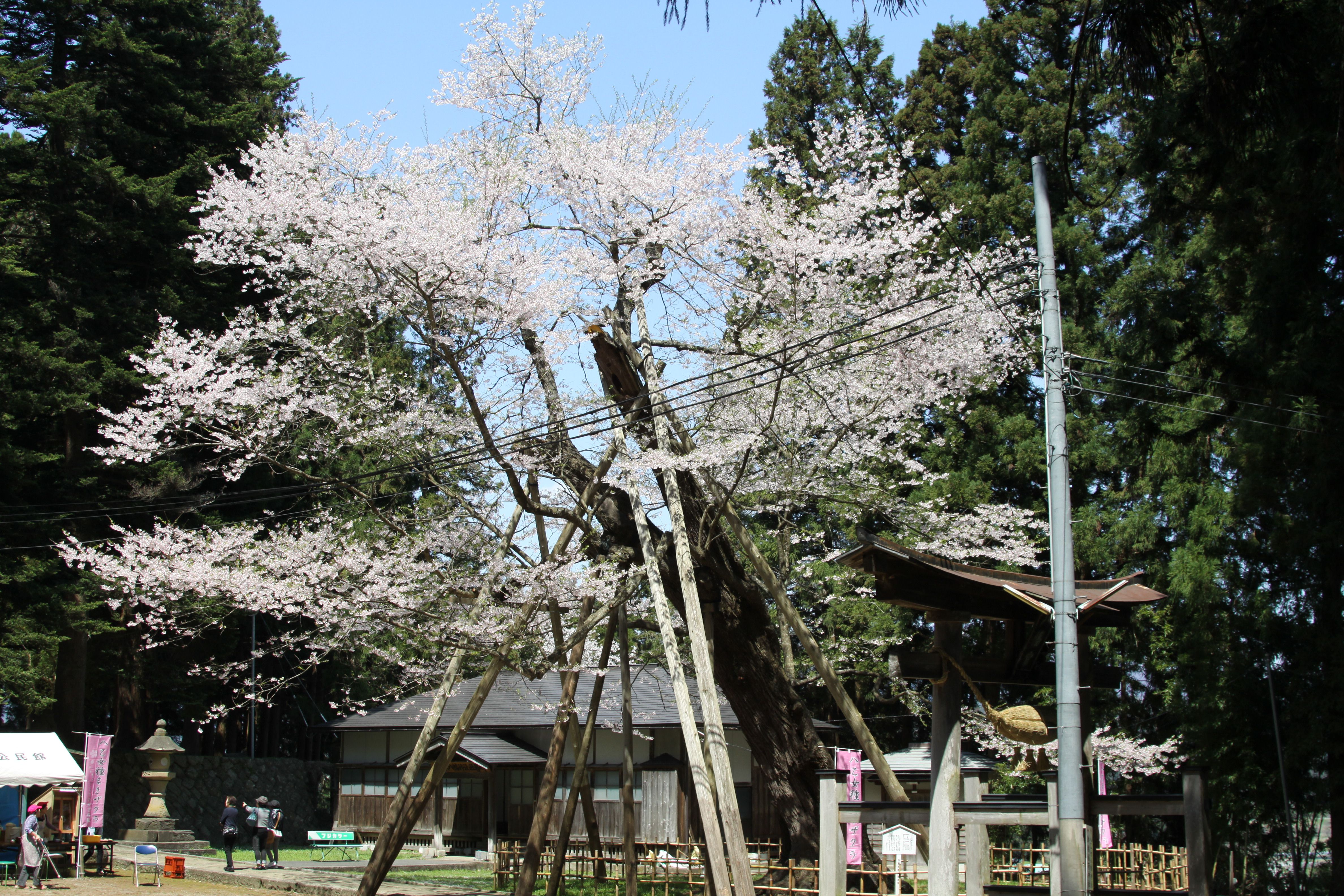 春の”荒砥”へ