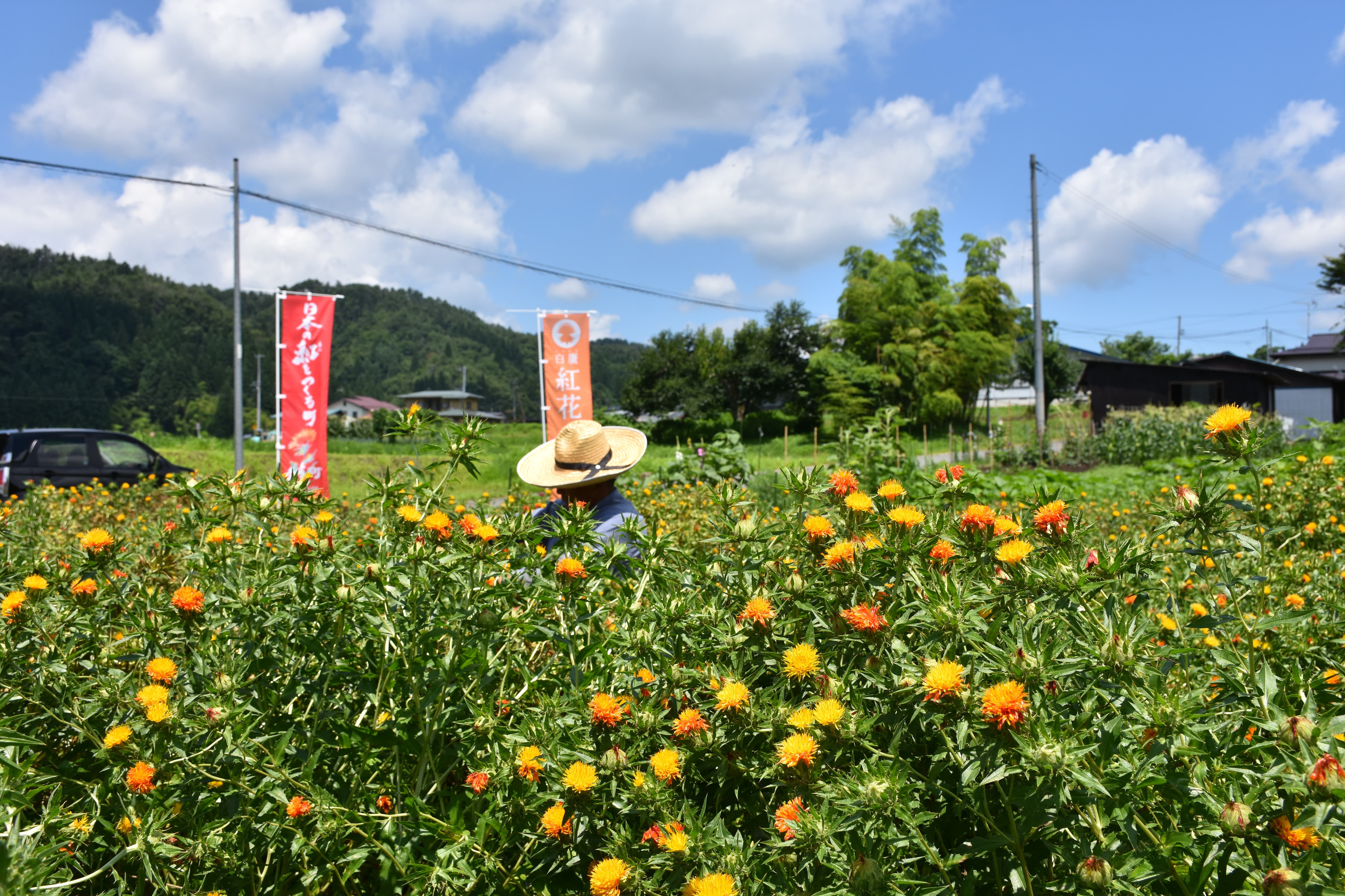 花摘み猫の手隊　終了！