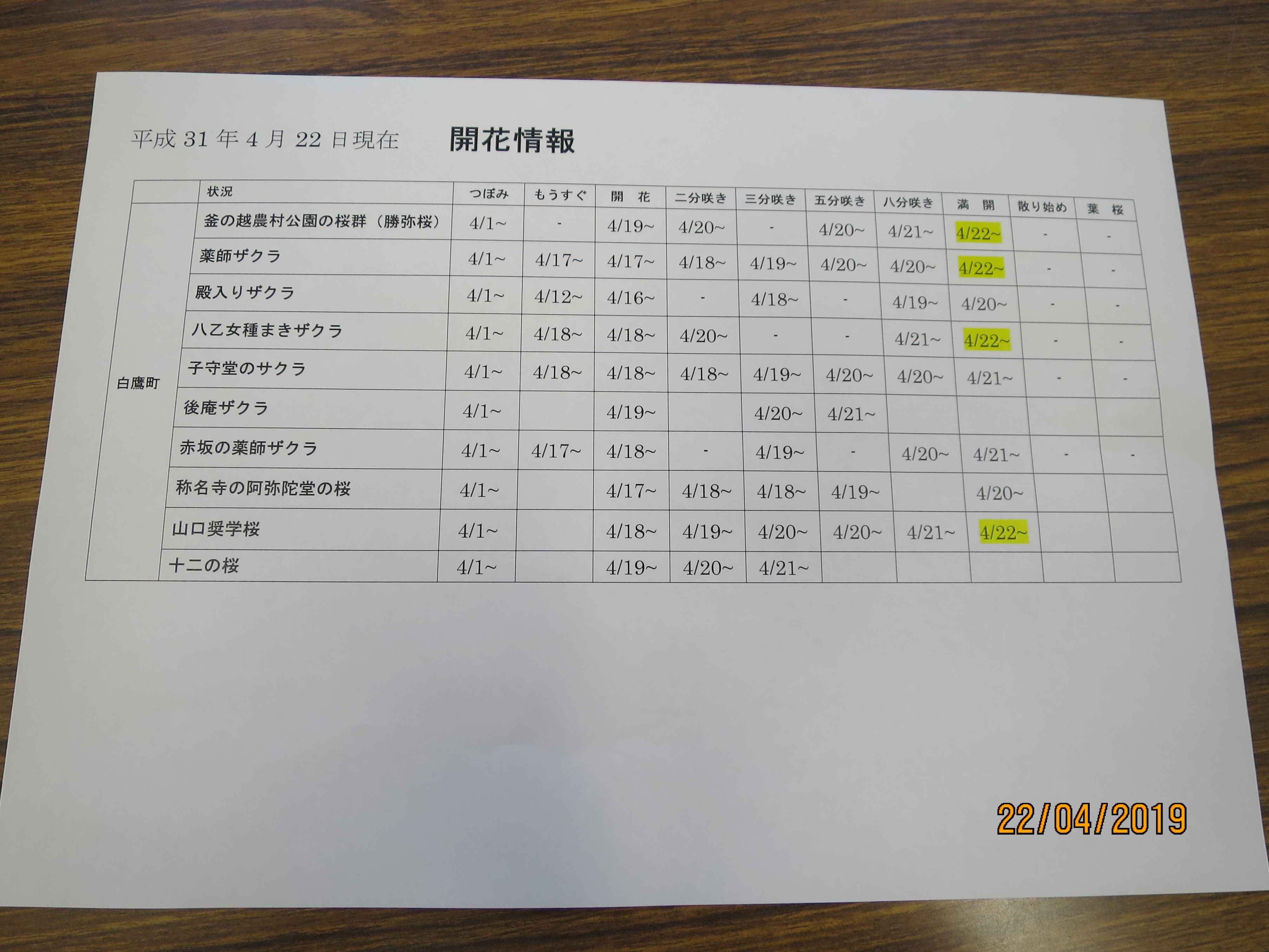 4/22現在　開花情報