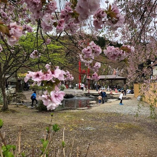 【5/2道の駅白鷹ヤナ公園あゆ茶屋】