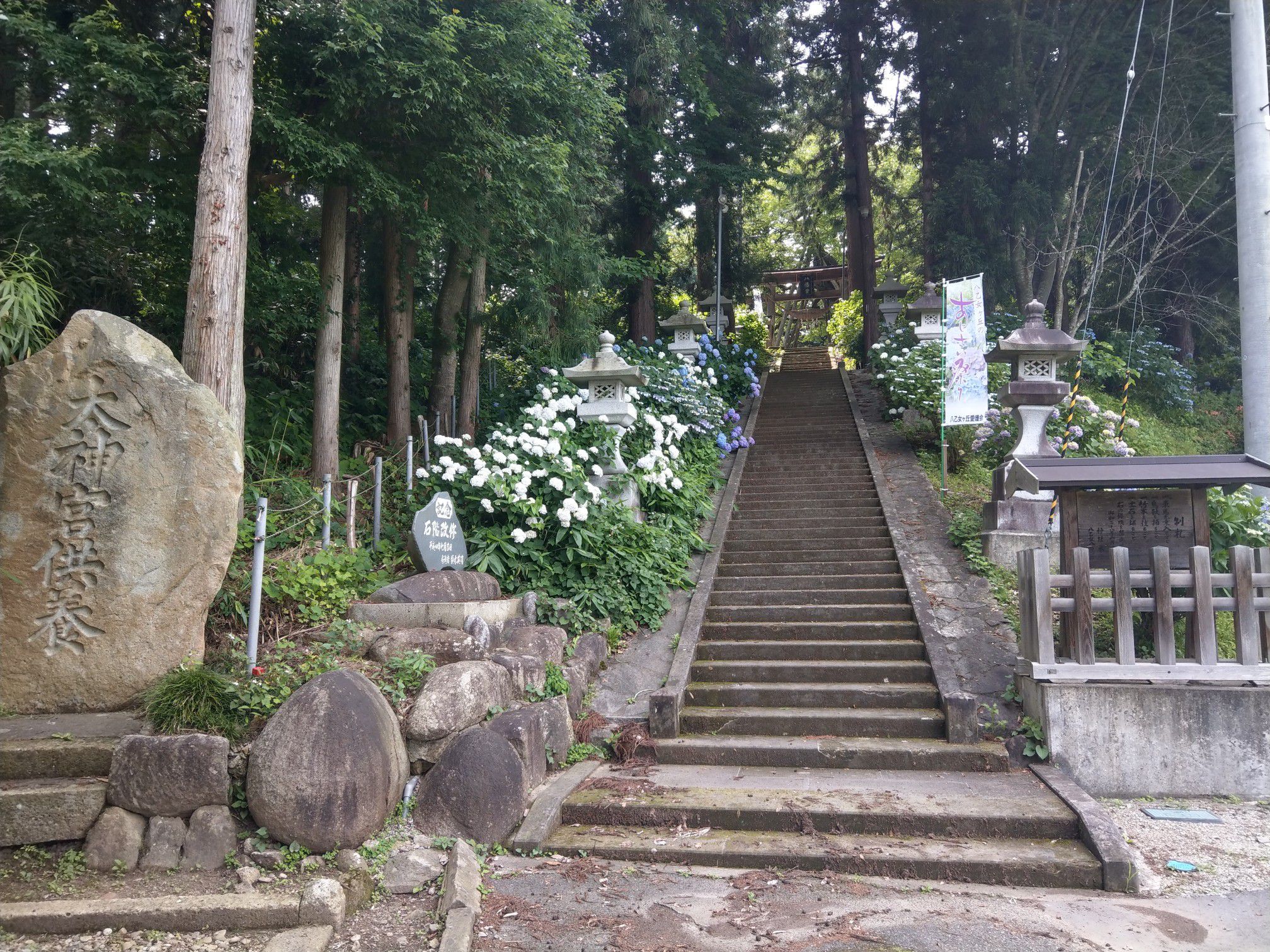 あじさい祭り(7/13,14)