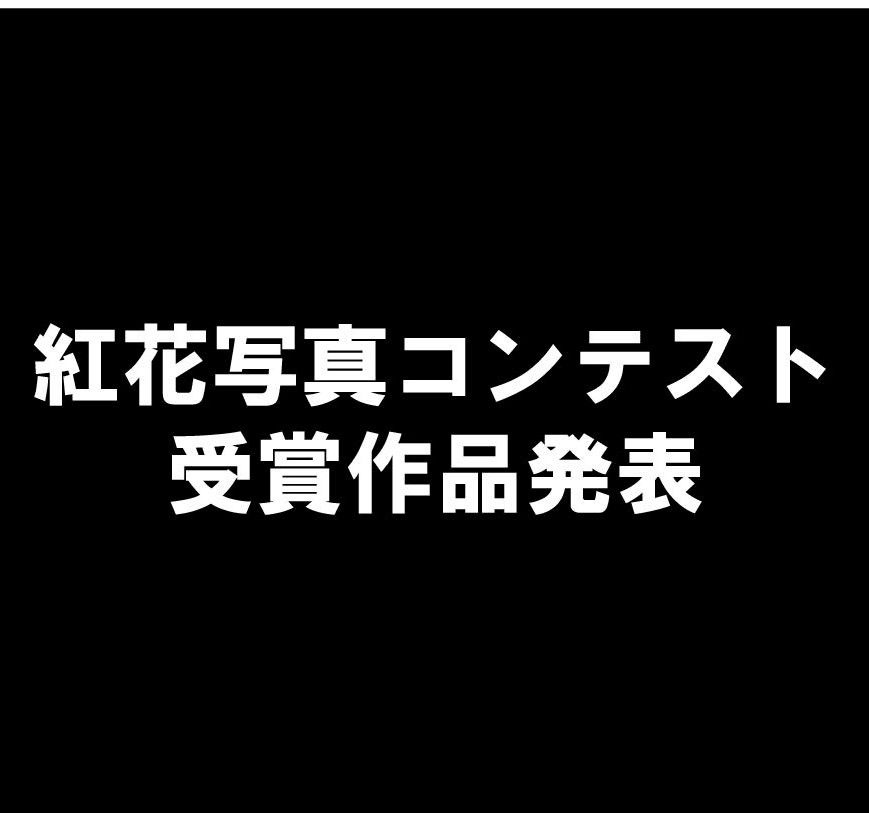 紅花写真コンテスト　受賞者発表