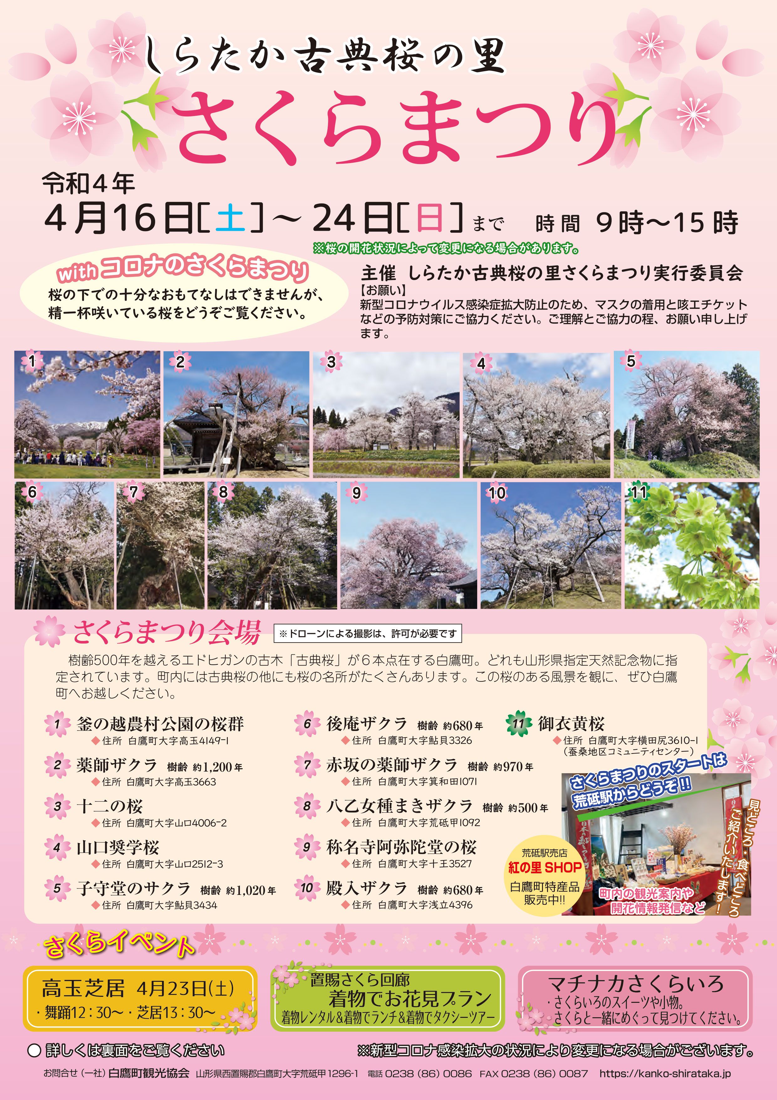 しらたか古典桜の里　さくらまつり2022