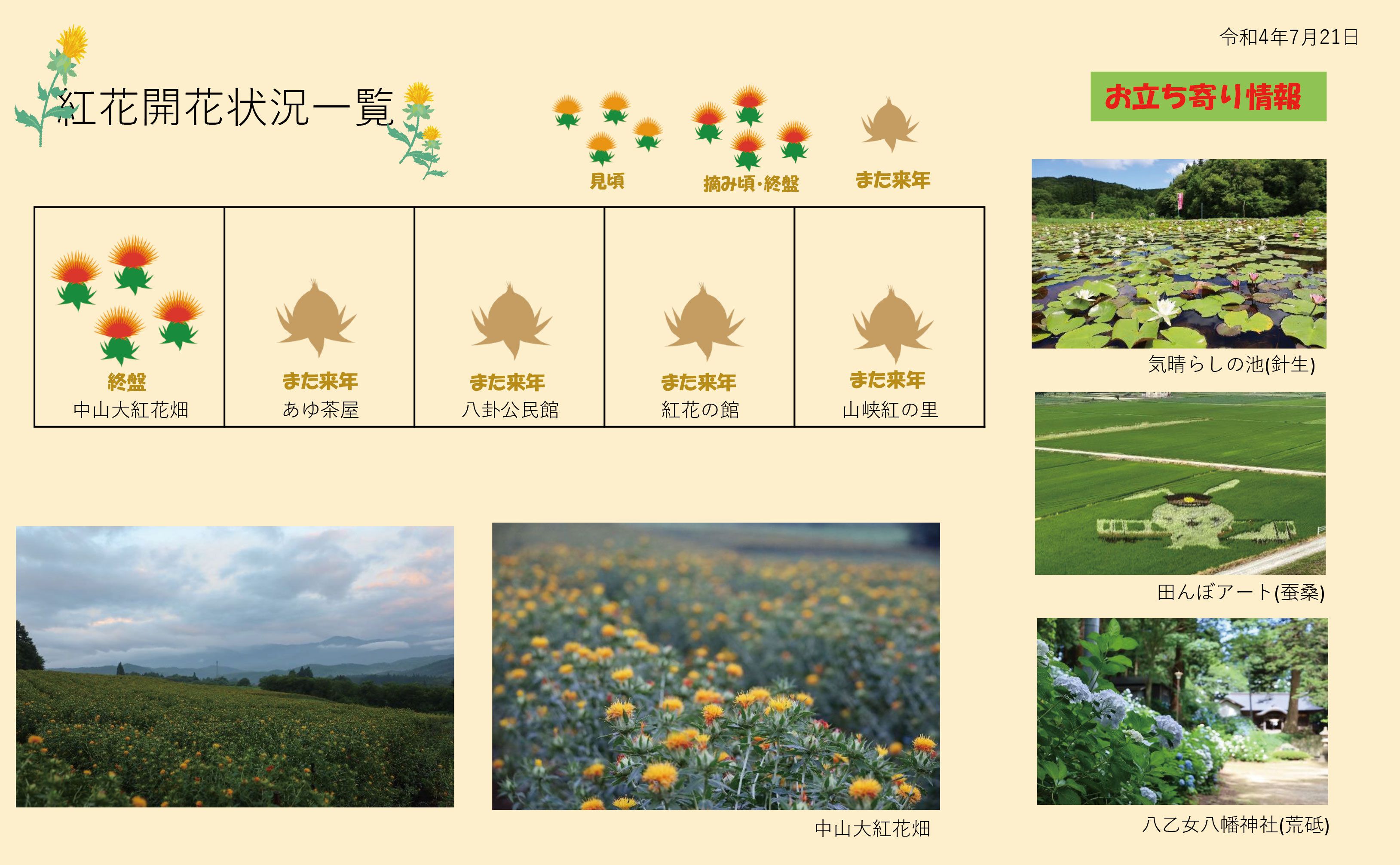 白鷹町開花情報