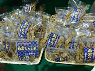 山形県長井市~古代の丘「縄文そばの舘」