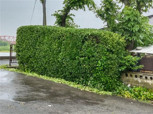 今日は雨ですねぇ！