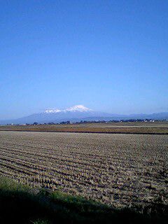 鳥海山がくっきり