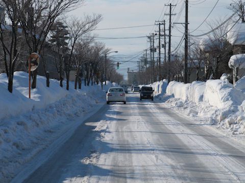 鶴岡市藤島町内雪で埋まってる