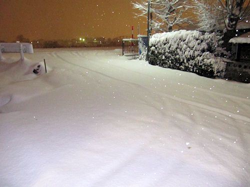 昨夜の情景