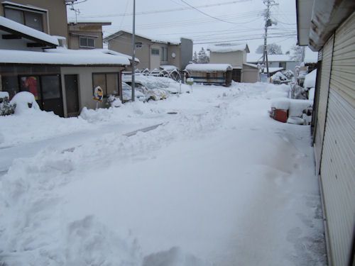 今朝になったら４０㎝くらい雪が