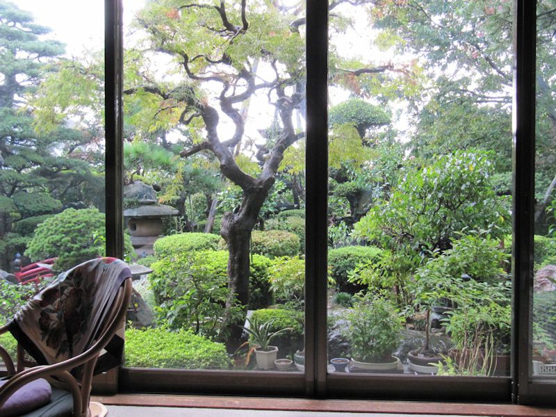 庭に雨が・・・・