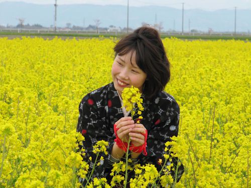 菜の花娘：みかわ「菜の花まつり」