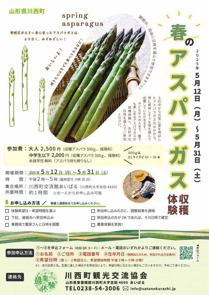 2025年5月開催「春のアスパラガス収穫体験」参加者募集中