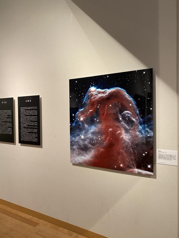 企画展「138億光年 宇宙の旅」展示紹介⑪