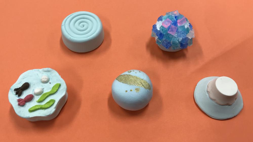 6月の体験学習室