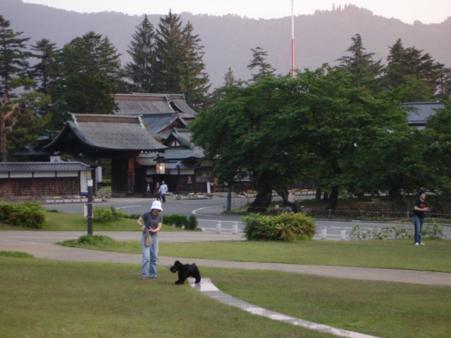 少しご無沙汰・・・