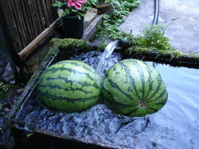 夏だスイカだ水遊び！