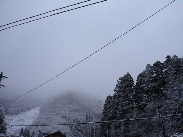 なごり雪は降る時を知り・・・