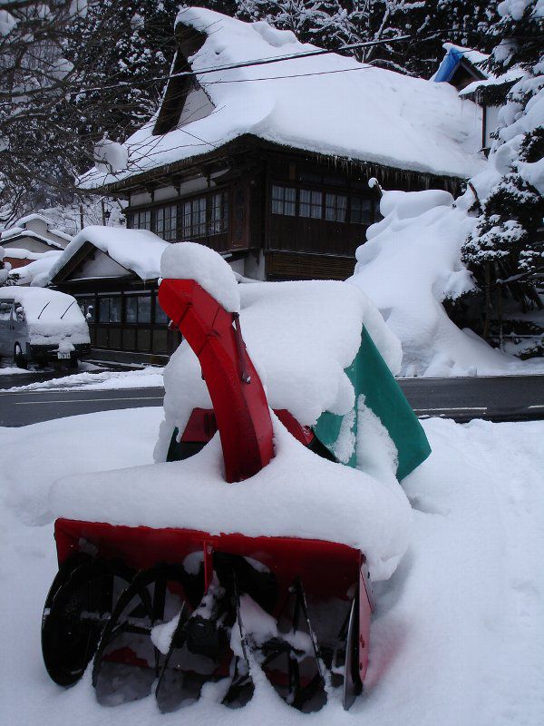 新年はもう半月以上前に・・・